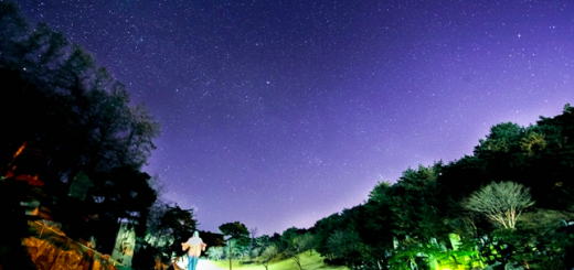 月明洞 日本教我的那些事